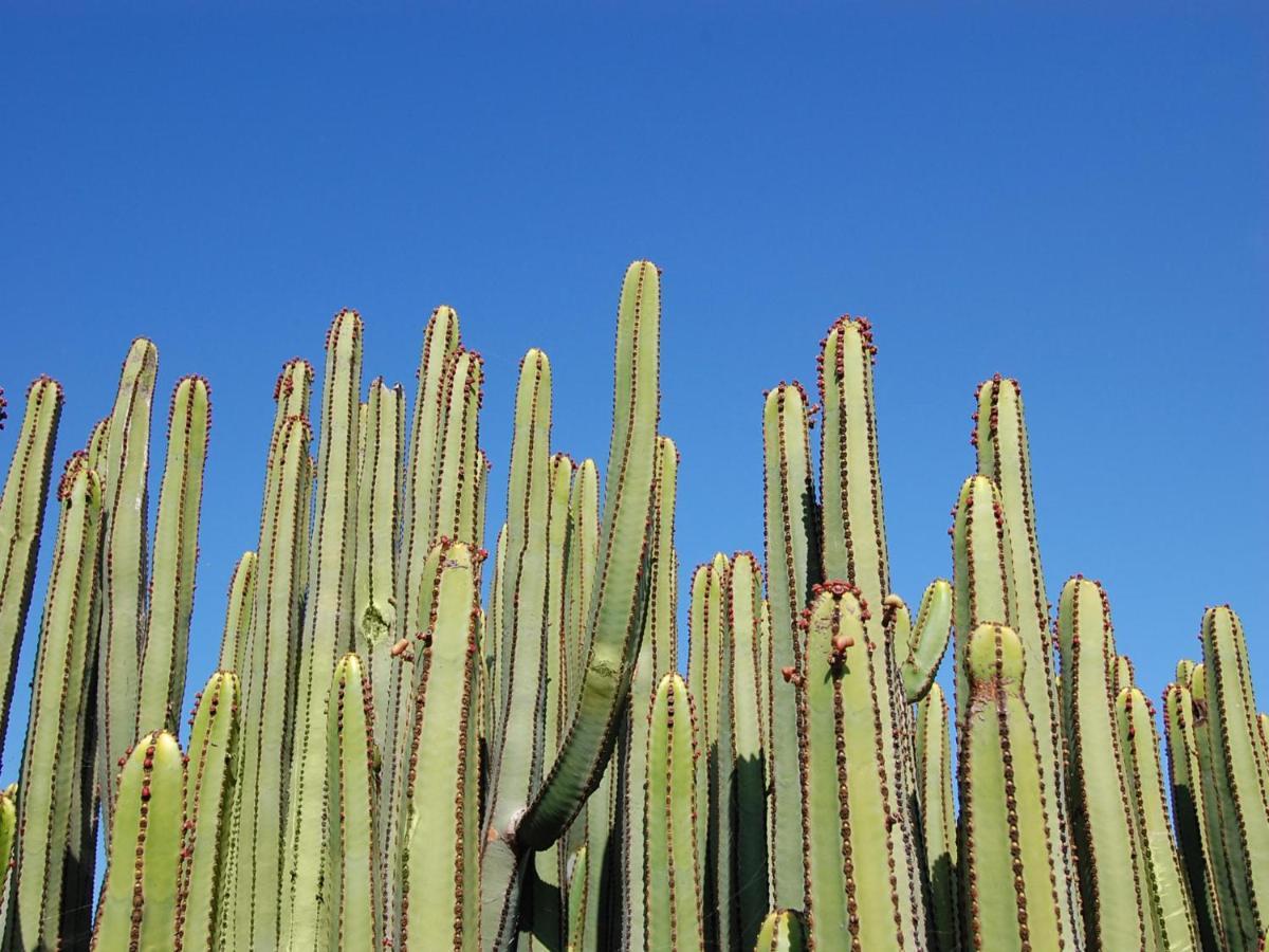 סאלוברה Los Lagos 20 By Villagrancanaria מראה חיצוני תמונה
